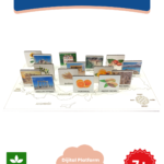 Ülkemi Seviyorum – Kendin Yap DIY Deney Bilim Seti