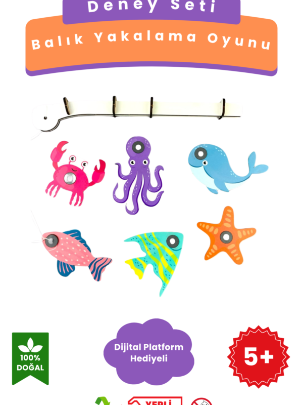 Balık Yakalama Oyunu - Kendin Yap DIY Deney Bilim Seti