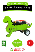 Paytak Dinozor - Kendin Yap Stem Bilim ve Deney Seti - DIY Montessori Eğitim - Maker Set